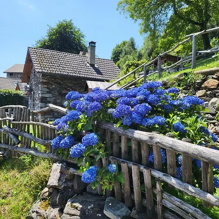 Дом отдыха Casa Poiana *