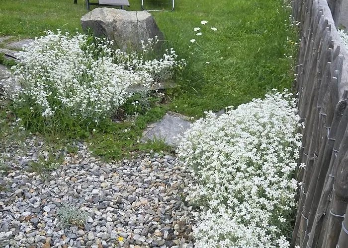 Casa Poiana Σπίτι διακοπών *