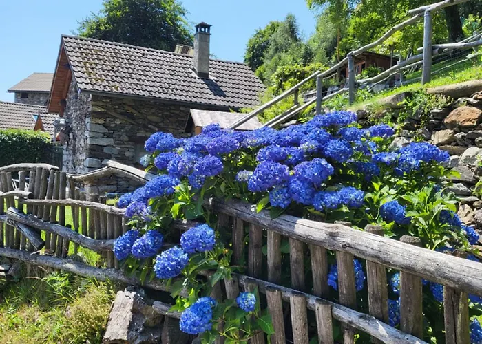 Nyaraló Casa Poiana *